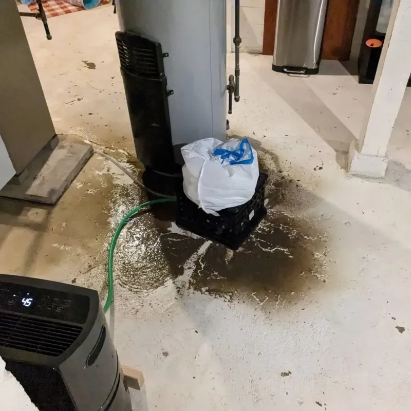 Sewage Backup Cleanup Service in Hodgeman County, KS